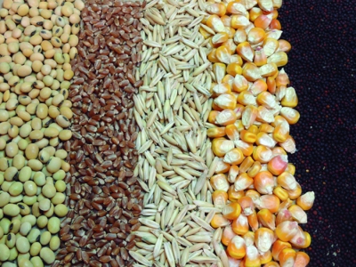 RESUMEN DE PRECIOS DEL CEREAL en la Lonja de Ciudad Real a 05-02-2020